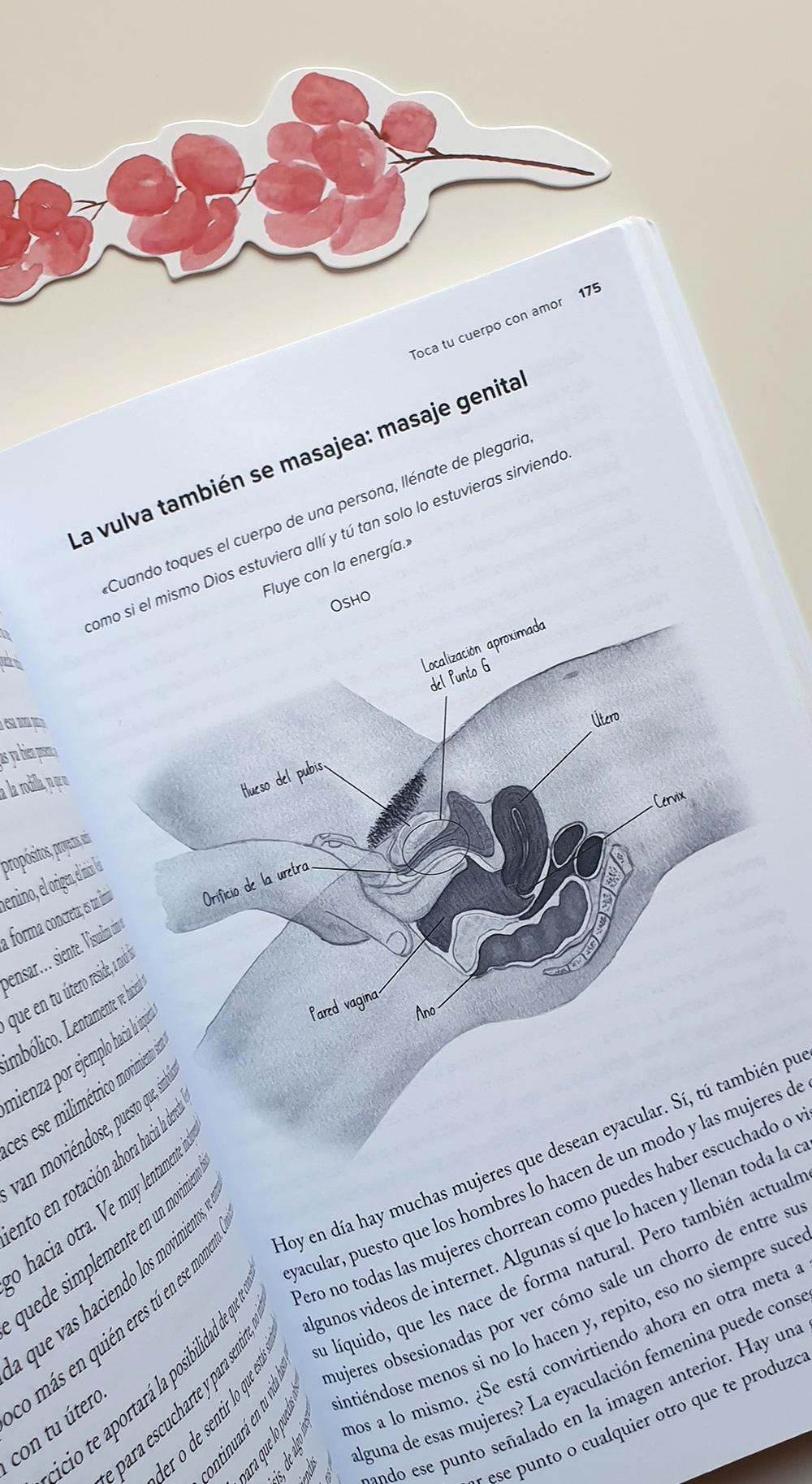 Psicólogo Alberto Sexologo on Instagram: Existen distintos tipos de  vagina, identifica cual es la tuya: La ostra: Este tipo de vulva haciendo  referencia a su nombre, deja al descubierto su tesoro: el