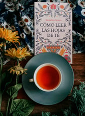 Iamgen de la entrada Cómo leer las hojas de té, opinión de una introducción a la taseomancia