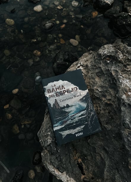 Imágen destacada - La bahía del espejo, opinión de una obra llena de sombras y espejismos 