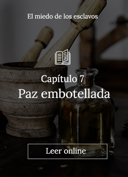 Imágen destacada - Capítulo 7 - Paz embotellada