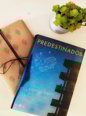 Iamgen de la entrada Predestinados, una novela para soñadores