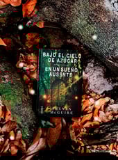 Iamgen de la entrada Bajo el cielo de azúcar y En un sueño ausente: vuelve Seanan McGuire a romper tu corazón