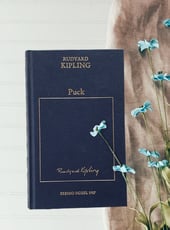Iamgen de la entrada Puck, el de la colina de Pook: análisis y opinión de un clásico olvidado