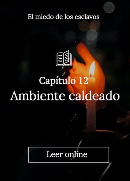 Imágen destacada - Capítulo 12 | Ambiente caldeado 
