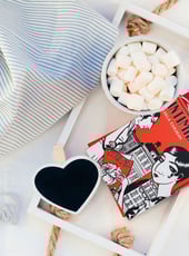 Iamgen de la entrada Intimidades, opinión de la novela gráfica de Leela Corman: mágica, desgarradora