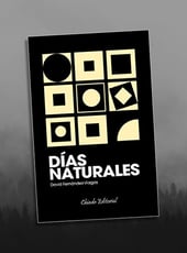 Iamgen de la entrada Días Naturales, la nueva novela de David Fernández-Viagas, ya a la venta