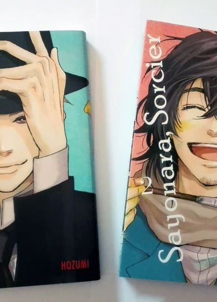 Imágen destacada - Sayonara Sorcier, la historia de los hermanos Van Gogh