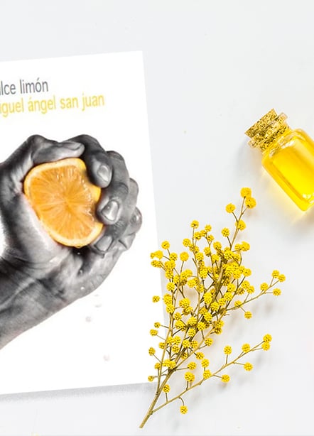 Imágen destacada - Dulce limón es un libro de relatos que te llegará al corazón