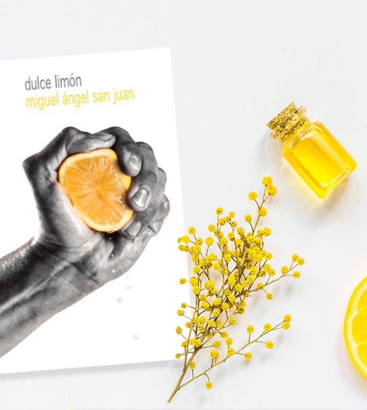 Imágen destacada - Dulce limón es un libro de relatos que te llegará al corazón