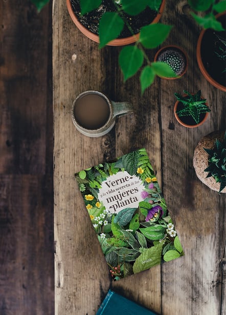 Imágen destacada - Verne y la vida secreta de las mujeres planta, opinión y análisis