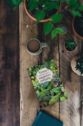 Verne y la vida secreta de las mujeres planta, opinión y análisis