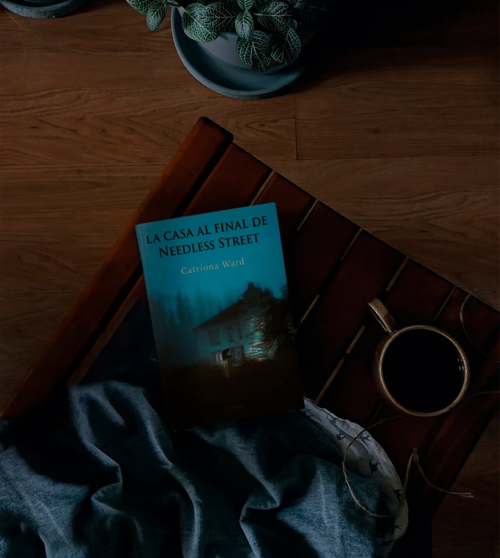 Imágen destacada - La casa al final de Needless Street: opinión de un libro sobre un secuestro y un monstruo 