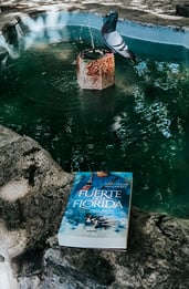 El fuerte de la Florida, opinión de una obra que revela un fragmento de nuestra historia