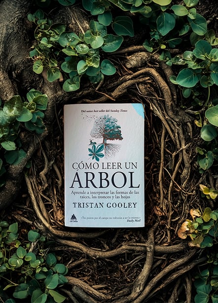 Imágen destacada - Cómo leer un árbol de Tristan Gooley: Una guía apasionante para interpretar el lenguaje de los árboles