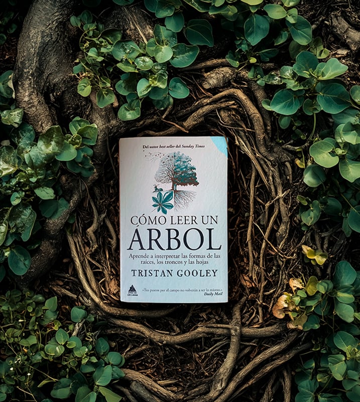 Imágen destacada - Cómo leer un árbol de Tristan Gooley: Una guía apasionante para interpretar el lenguaje de los árboles