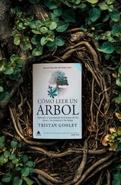 Cómo leer un árbol de Tristan Gooley: Una guía apasionante para interpretar el lenguaje de los árboles