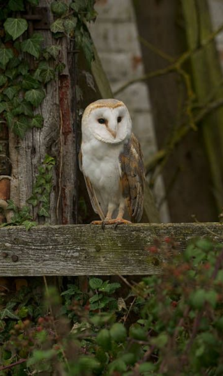 Banner principal de la página de noticias