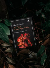 Iamgen de la entrada Yo, Tituba, la bruja negra de Salem: opinión de un libro que da voz a una mujer silenciada
