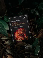 Iamgen de la entrada Yo, Tituba, la bruja negra de Salem: opinión de un libro que da voz a una mujer silenciada