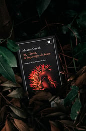Yo, Tituba, la bruja negra de Salem: opinión de un libro que da voz a una mujer silenciada