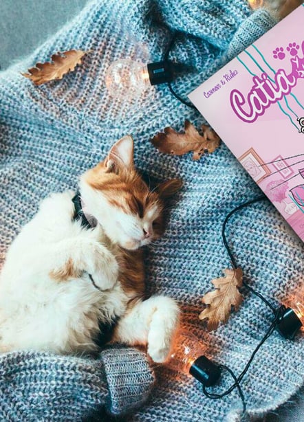 Imágen destacada - Catia y su gato, reseña del cómic más mono para los cat lovers