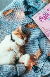 Catia y su gato, reseña del cómic más mono para los cat lovers