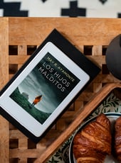 Iamgen de la entrada Los Hijos Malditos: opinión de una novela negra que captura el alma de Granada