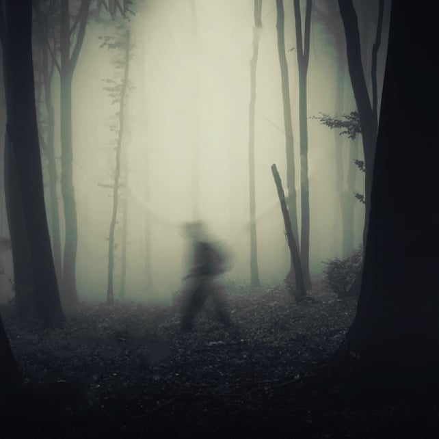 Imágen destacada - Los mejores libros sobre fenómenos extraños en español