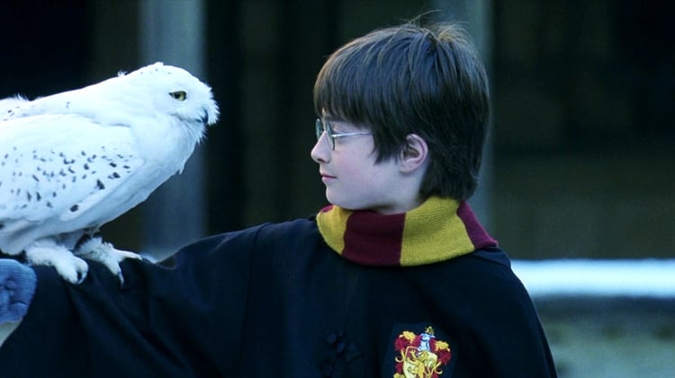 Imágen destacada - Frases de Harry Potter, 15 frases de Harry Potter y la piedra filosofal
