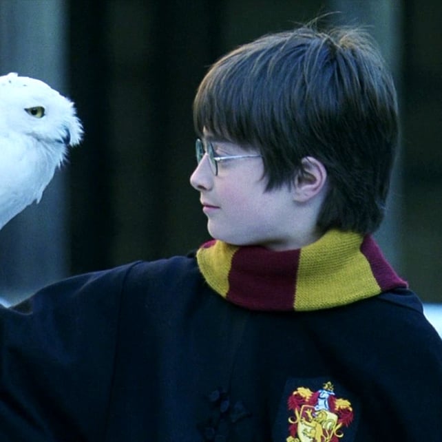 Imágen destacada - Frases de Harry Potter, 15 frases de Harry Potter y la piedra filosofal