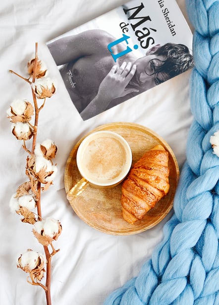 Imágen destacada - Reseña de Más de ti de Mia Sheridan: un libro que te romperá el corazón