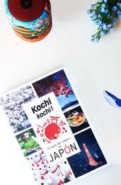 Kochi Kochi! La guía perfecta para tu primer viaje a Japón