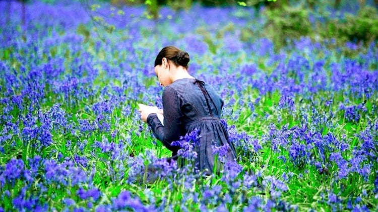 Imágen destacada - 10 películas sobre escritores y el mundo de la escritura