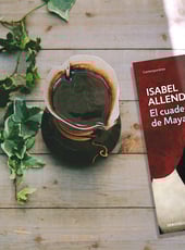 Iamgen de la entrada El cuaderno de Maya, resumen