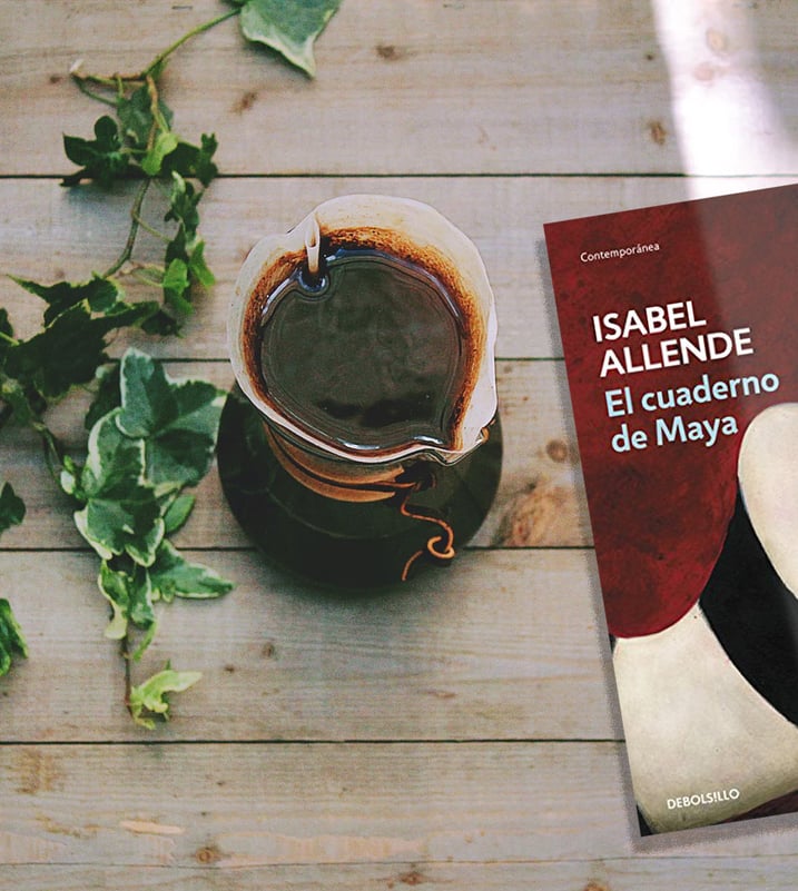 Imágen destacada - El cuaderno de Maya, resumen