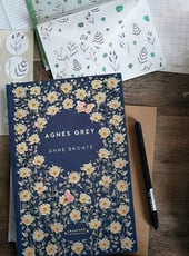 Iamgen de la entrada Agnes Grey, análisis y temas de una obra clásica de Anne Brontë