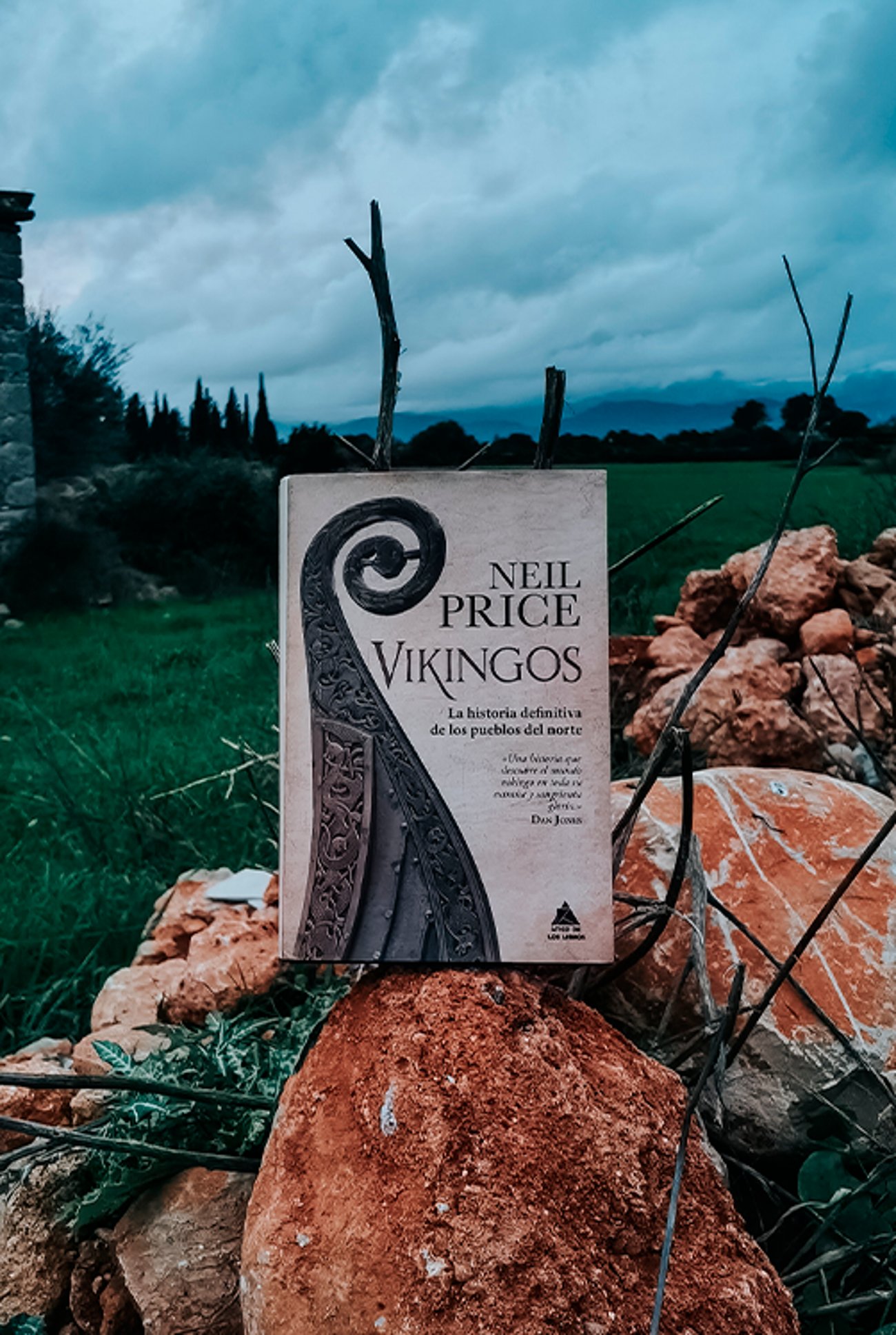 Imagen destacada - Vikingos de Neil Price, opinión de una obra histórica esencial