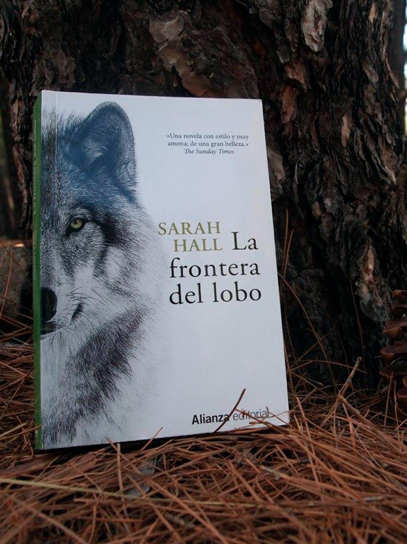 Imagen destacada - La frontera del lobo, análisis de una novela sobre la introspección