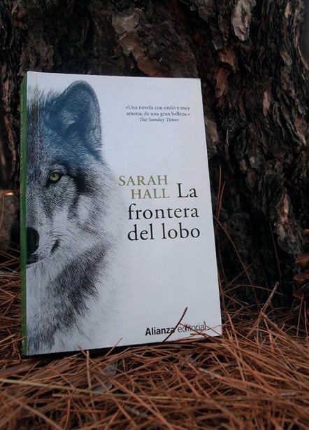 Imágen destacada - La frontera del lobo, análisis de una novela sobre la introspección