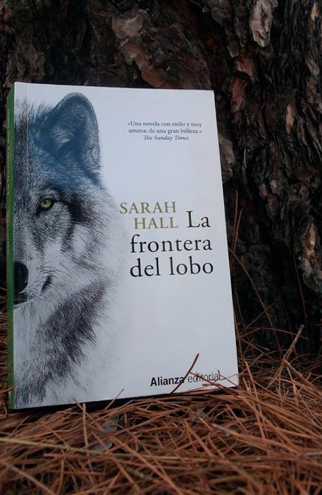 Imágen destacada - La frontera del lobo, análisis de una novela sobre la introspección