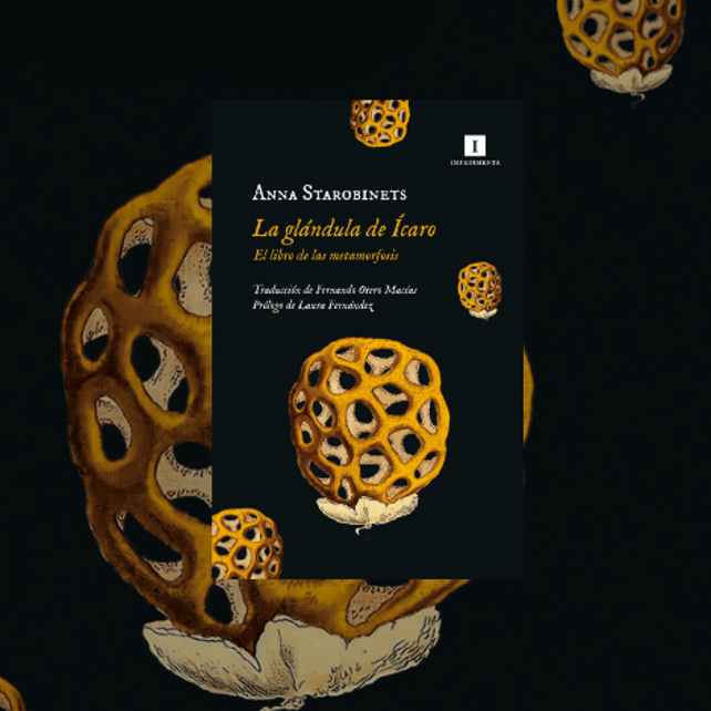 Imágen destacada - La nueva obra de Anna Starobinets, 'La glándula de Ícaro', llegará en junio de 2023