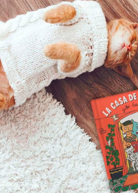 Imágen destacada - La casa de los Gatos, analizamos el libro animado de Gilles Eduar