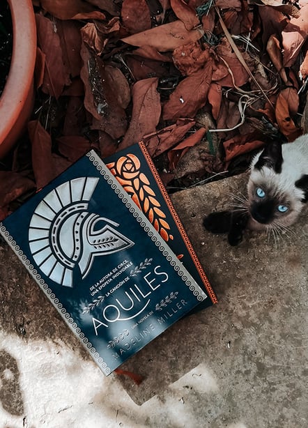 Imágen destacada - Reseña de La canción de Aquiles: el libro que cuenta la historia entre Patroclo y Aquiles