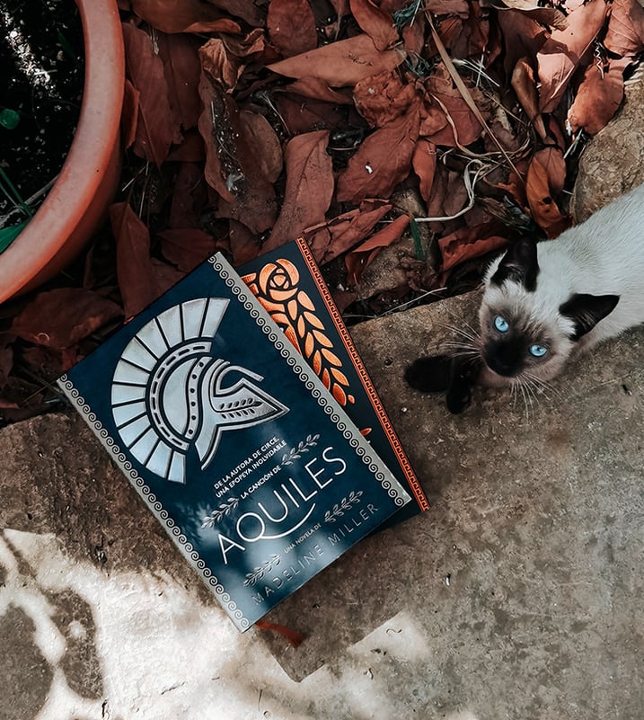 Imágen destacada - Reseña de La canción de Aquiles: el libro que cuenta la historia entre Patroclo y Aquiles