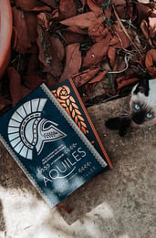 Reseña de La canción de Aquiles: el libro que cuenta la historia entre Patroclo y Aquiles