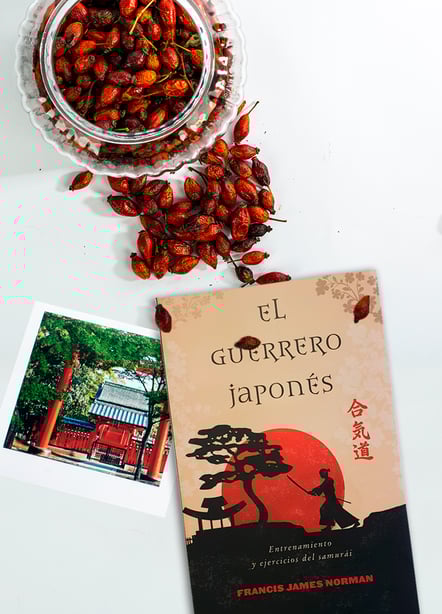 Imágen destacada - El guerrero japones: opiniones de una carta de un británico sobre la vida en Japón