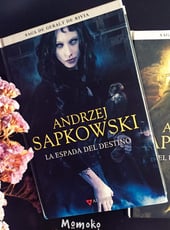 Iamgen de la entrada La espada del destino y El último deseo, análisis