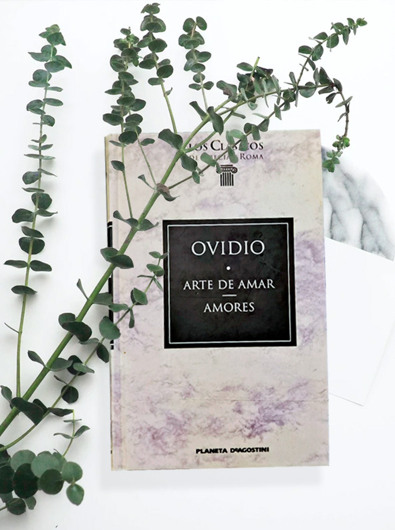 Imagen destacada - El arte de amar, análisis y opinión de la obra de Ovidio
