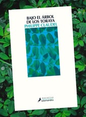 Iamgen de la entrada Bajo el árbol de los toraya de Philippe Claudel publicado por Salamandra