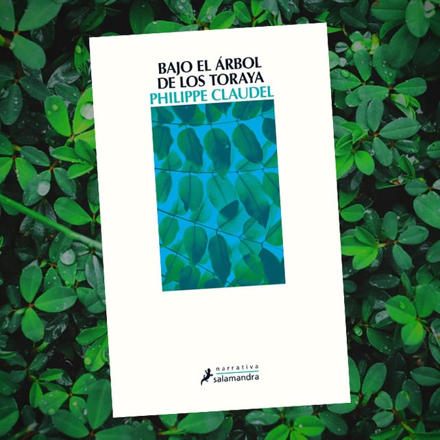 Imágen destacada - Bajo el árbol de los toraya de Philippe Claudel publicado por Salamandra